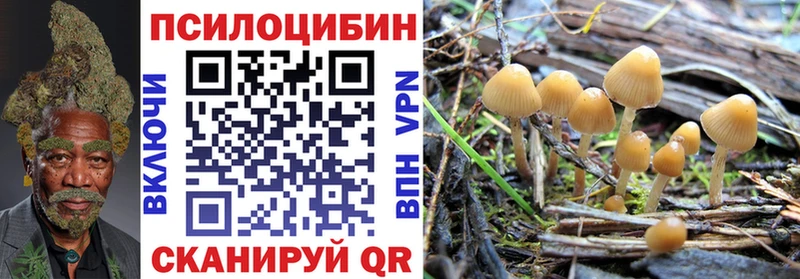 Псилоцибиновые грибы Psilocybine cubensis  Купить закладки  Карасук 